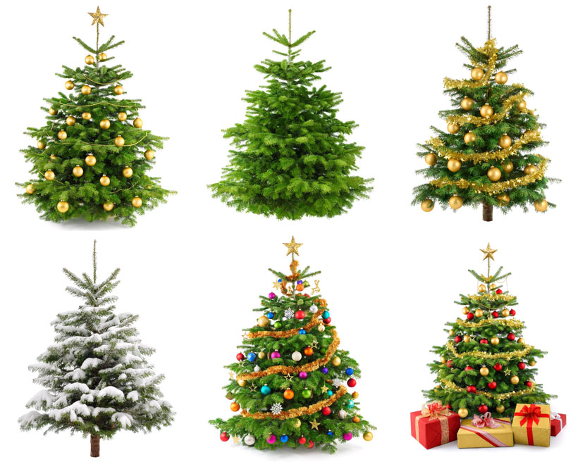 节日圣诞树摄影高清图片 - 爱图网设计图片素材