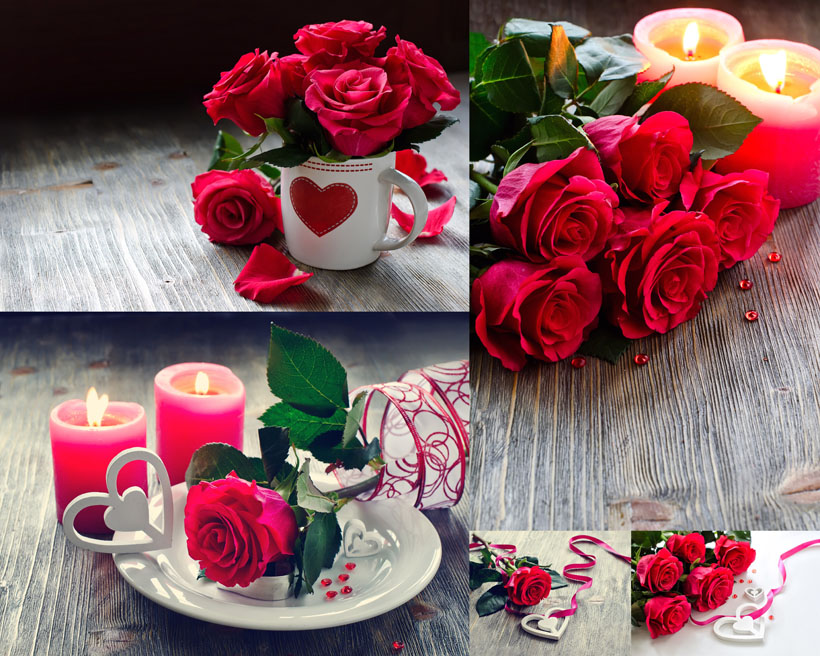 红玫瑰花摄影高清图片 - 爱图网设计图片素材下载