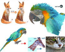 藍色鸚鵡狐貍矢量素材