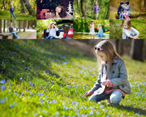 草地上的小女生摄影高清图片