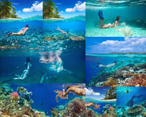 海底游泳比基尼女子拍摄高清图片