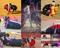 西班牙斗牛摄影高清图片