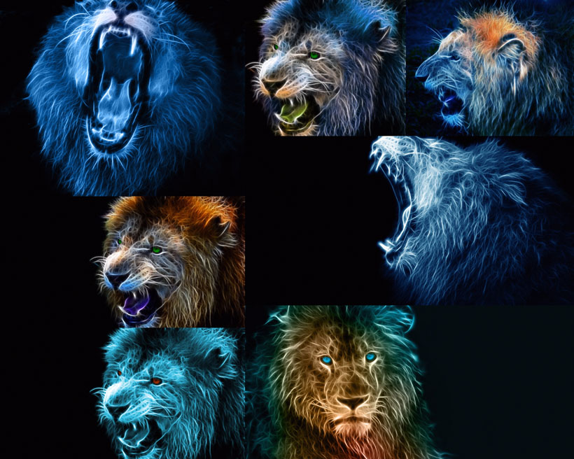 炫彩绘画狮子摄影高清图片