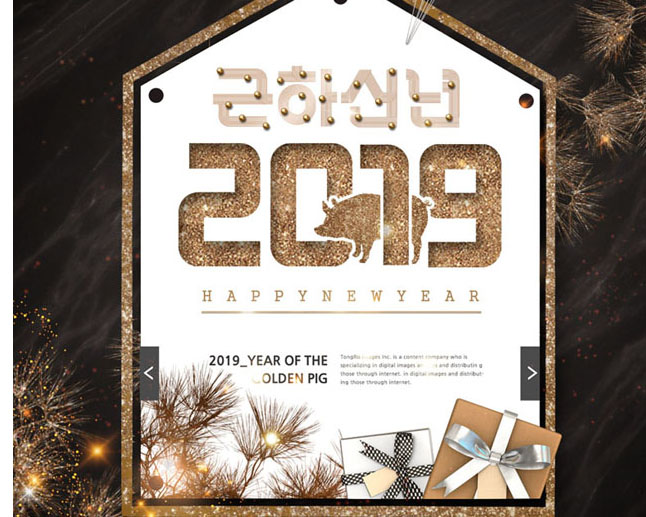 2019װαPSDز