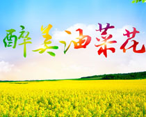 Ͳ˻羰PSDز