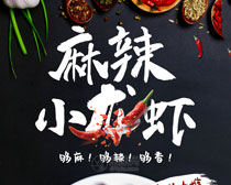 鹻СϺPSDز