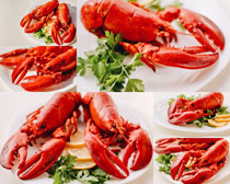 大龙虾美食摄影高清图片