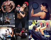 健身房运动男女拍摄高清图片