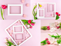 郁金香鮮花藝術相框攝影高清圖片