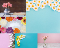 五颜六色的小花朵装扮拍摄高清图片