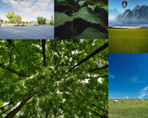 綠色樹木草原風景拍攝高清圖片