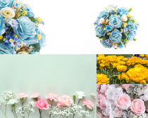 浪漫鮮花花朵拍攝高清圖片