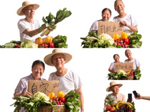 农民有机蔬菜拍摄高清图片