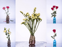 瓶子里的花束攝影高清圖片