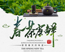 感受春天的味道春茶上市海报设计PSD素材