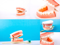 牙齒口腔健康拍攝高清圖片