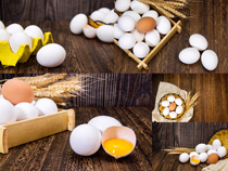 新鮮優質雞蛋攝影高清圖片