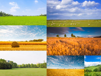 草地稻田天空美麗風景攝影高清圖片