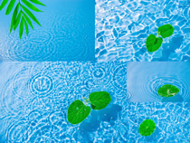 水上漂浮植物綠葉拍攝高清圖片