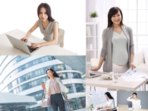 辦公職業商務女子攝影高清圖片