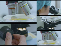 實驗室里的顯微鏡攝影高清圖片