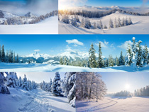 冬季戶外雪景風光拍攝高清圖片
