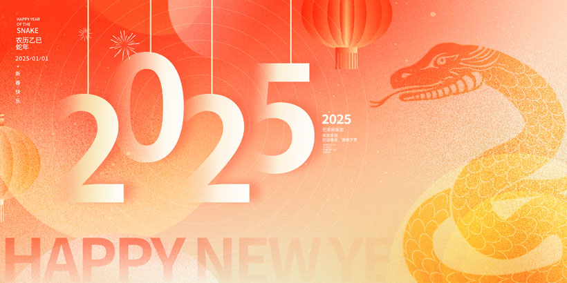 2025VPSDز