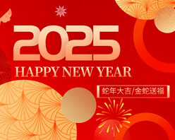 2025ģPSDز