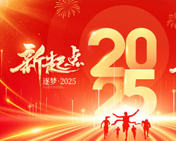 2025IPSDز