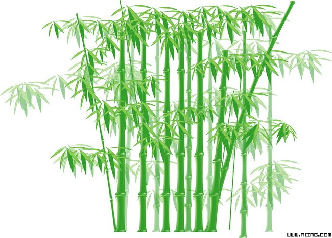 翠绿的竹子psd分层素材