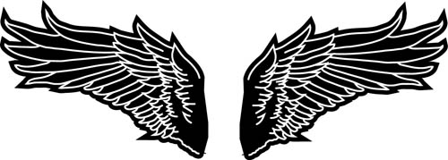 10ʸز-Wings vector