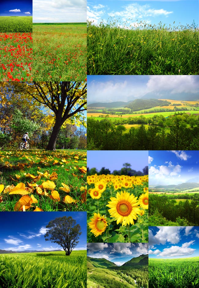 21张绿色自然风景图片