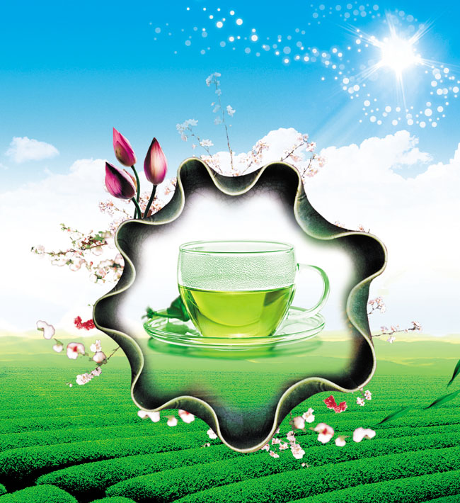 创意自然茶文化图片素材