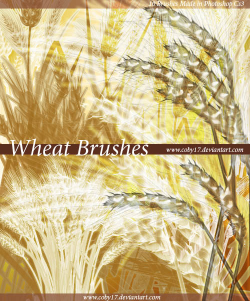 ˢ(Wheat Brushes)