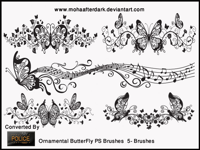 Ʊˢ(Ornamental ButterFly)