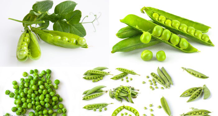 绿色豌豆与豆荚高清摄影图片素材
