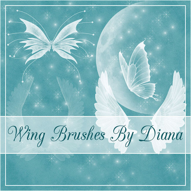 ˢ(Wing Brushes)