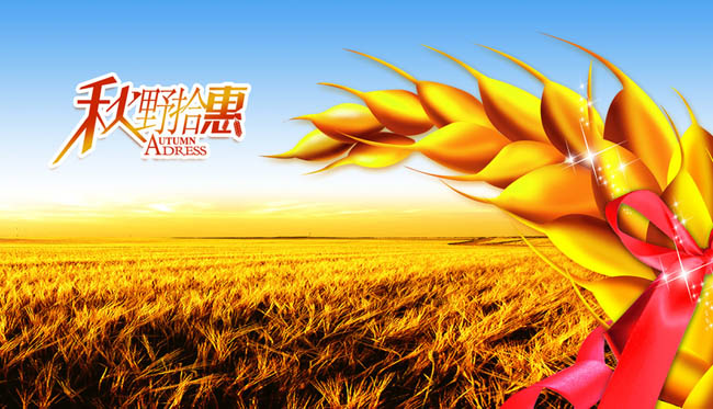 小麦丰收海报设计PSD素材
