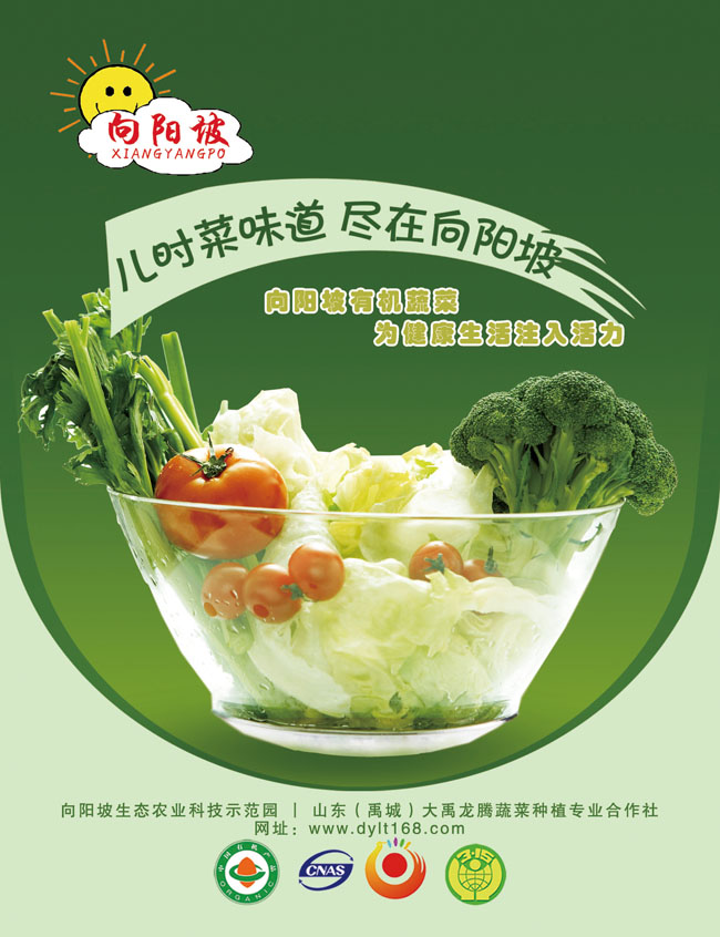 向阳坡蔬菜宣传海报PSD素材