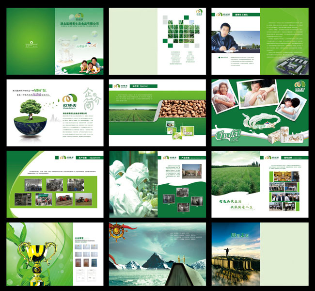 绿色企业画册设计PSD素材
